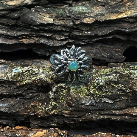 期間限定 Astra Libio アストラリバイオ　R-35 Custom Ring  #17