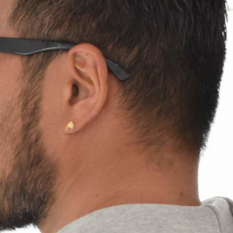 LION HEART-ライオンハート- ハウルピアス/K10ゴールド | Pan's