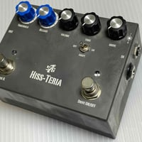 CUSTOM AUDIO ELECTRONICS CRYBABY GCB-95 MOD R