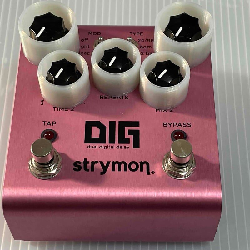 strymon DIG dual digital Delay V1 USED品 | AIRBA