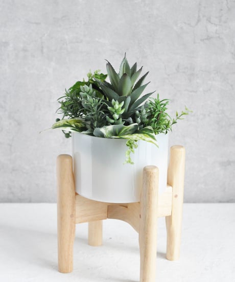 CATEGORY インテリアグリーン・フェイクグリーン | Flower&Nantucket