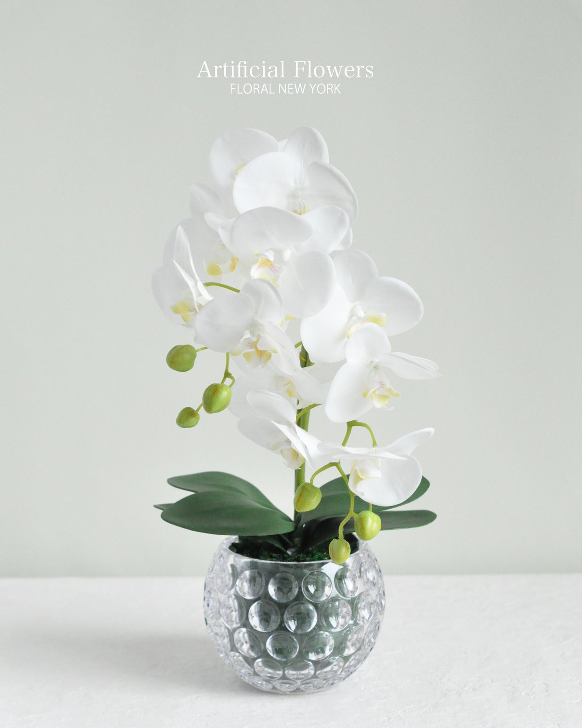 胡蝶蘭アレンジメント/ポリカーボネートベース】・インテリアアレンジ