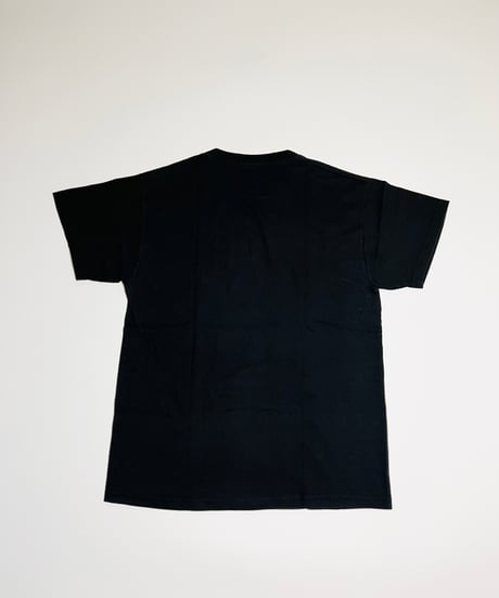 Aero Smith band tee