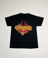 Aero Smith band tee