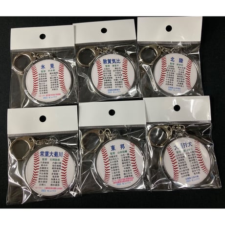 第95回選抜　メンバー名入り丸型キーホルダー