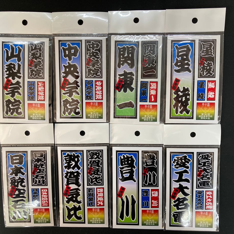 65f6e45ed356f76c11d710f7