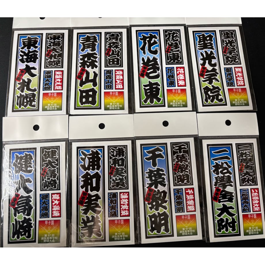 67d77419d8e56a0b167f66f5