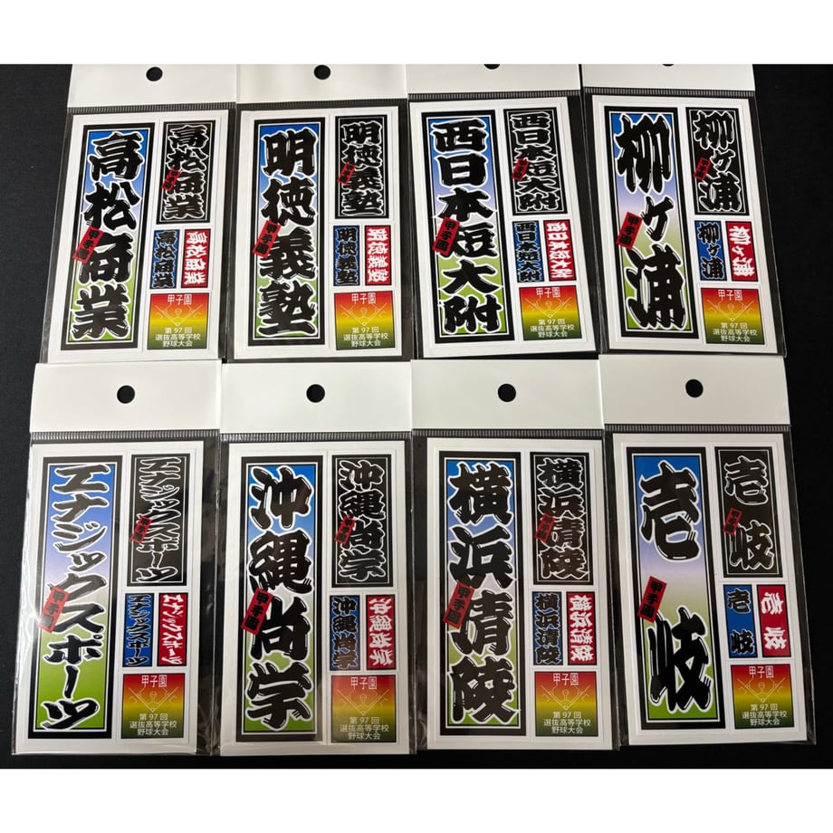 67d77419d8e56a0b167f66f5