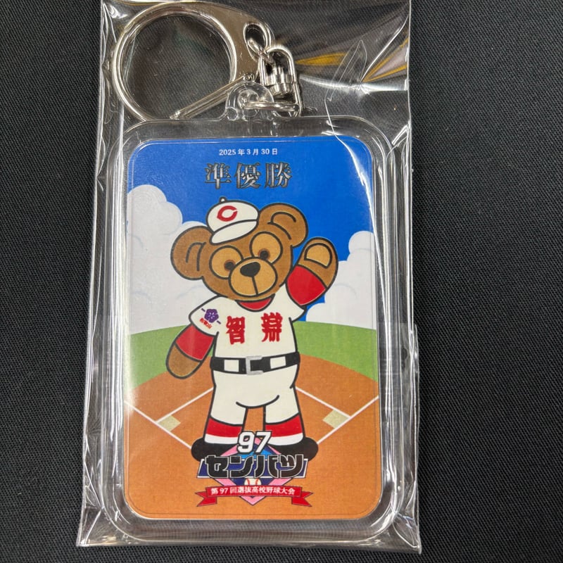 記念ボール 6球セット 智辯和歌山 智辯学園 履正社 星稜 大阪桐蔭 金