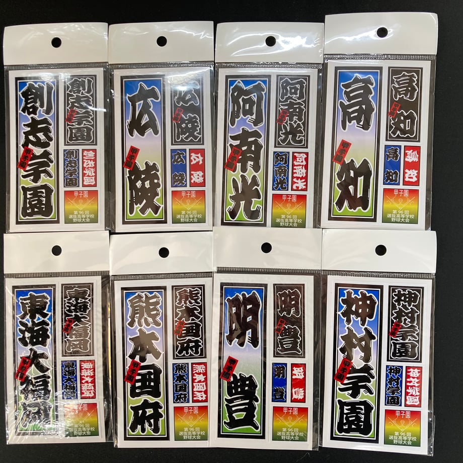 65f6e45ed356f76c11d710f7