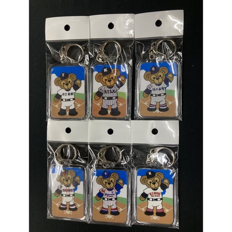 全国高等学校野球選手権大会第106回大会記念土入りキーホルダー10個 第106回全国高校野球選手権大会 甲子園の土 100周年記念