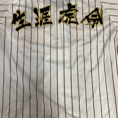 生涯虎命　4文字　ワッペン