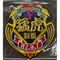 2025 日付入　優勝記念ワッペン　制覇