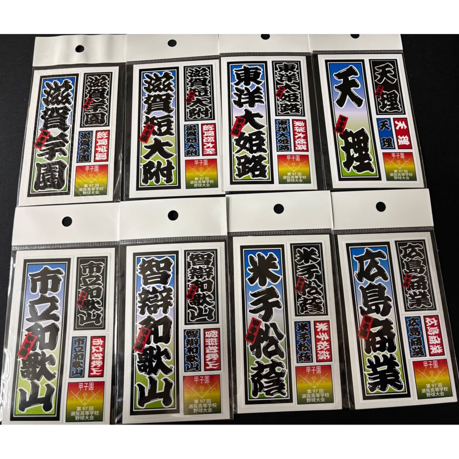 67d77419d8e56a0b167f66f5