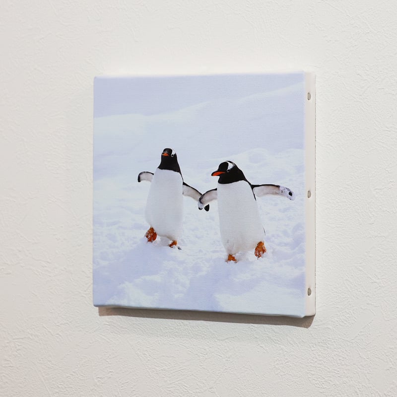 仲良しペンギン（キャンバス） | K's Photoギャラリー