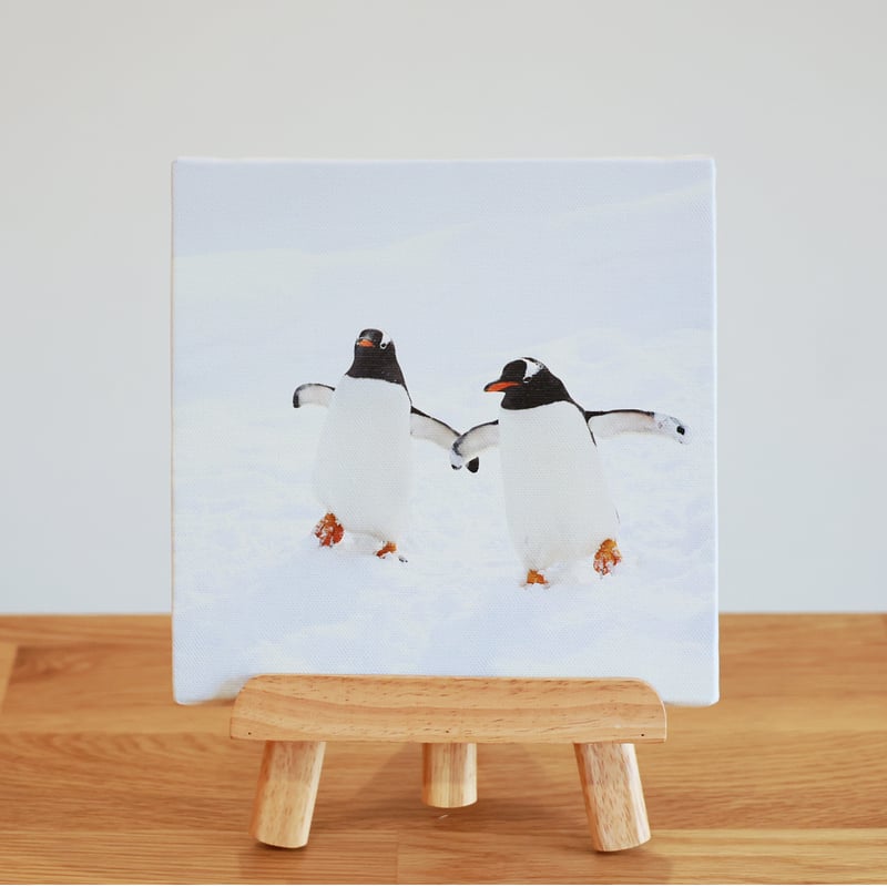 仲良しペンギン（キャンバス） | K's Photoギャラリー