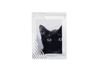 KALACO frame