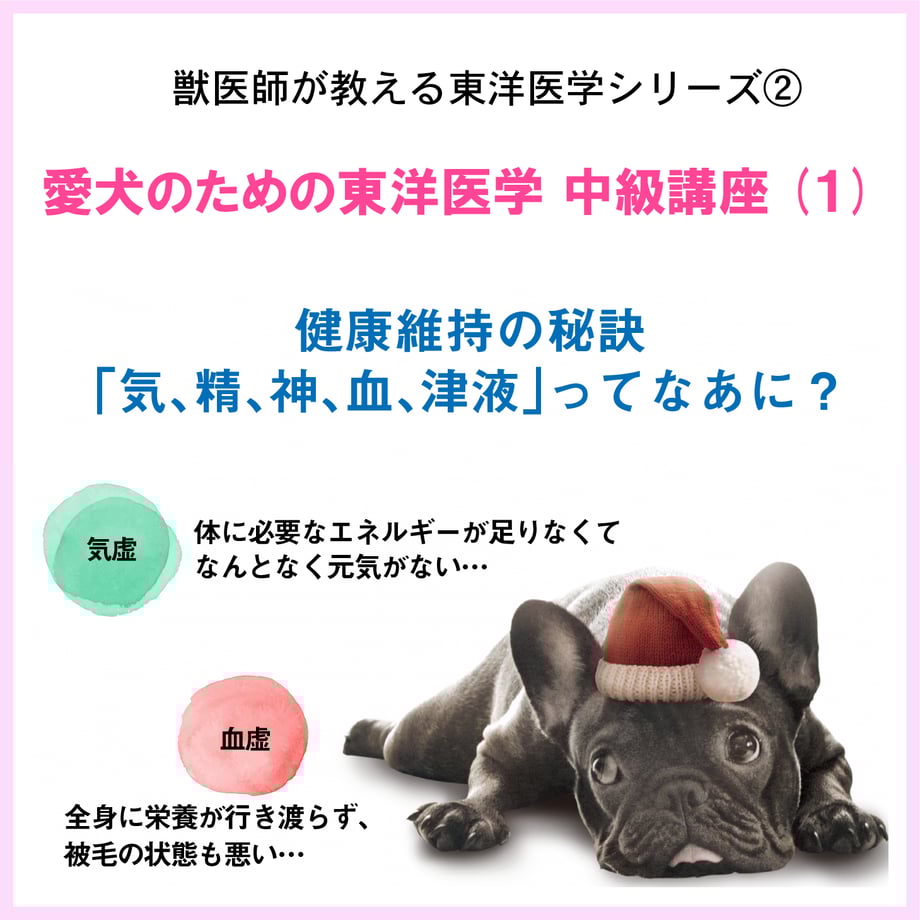612f62ea0f9a225b923eddc6