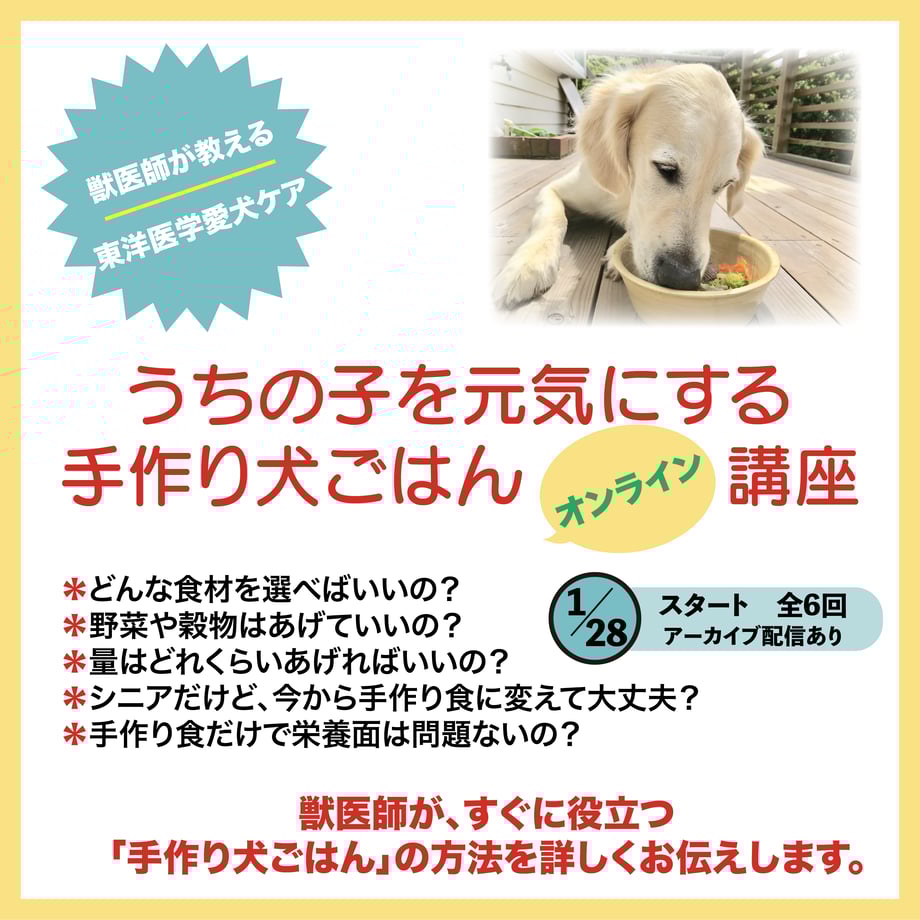 61adff369270a712dfb2c68b