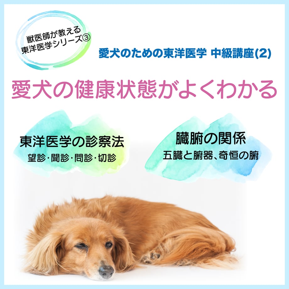 616065d747a5346d46ca13bd