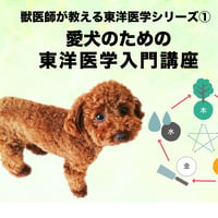 愛犬のための「東洋医学」入門オンライン講座（全4回）
