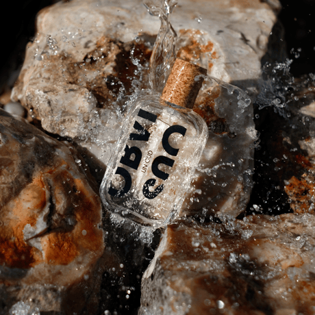 OBVIOUS PARFUMES / UN OUD