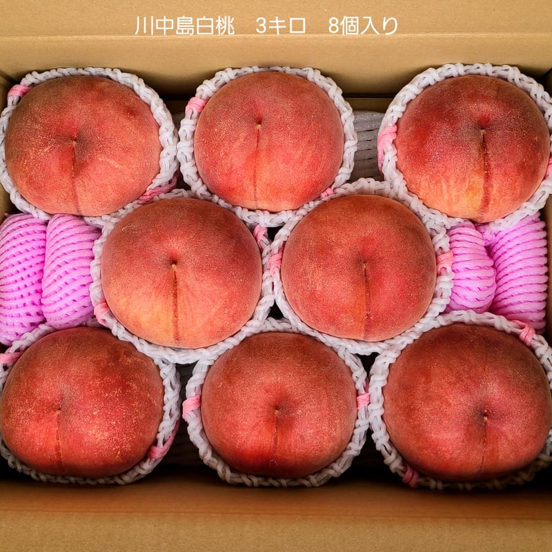 超プレミアム！！糖度20度以上　ももちゃん果樹園の桃　幻の桃　CX 2キロ箱！ 超プレミアム！！糖度20度以上ももちゃん果樹園の桃 幻の桃 CX 2