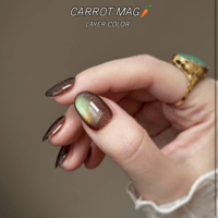 magnet : carrot