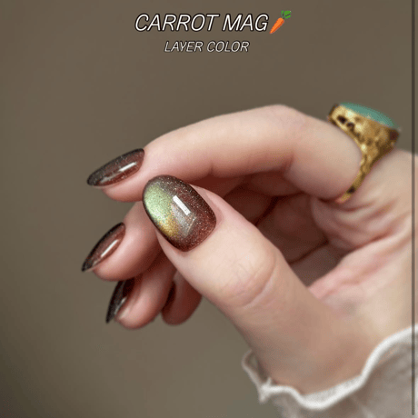 magnet : carrot