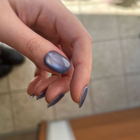 magnet : butterfly pea