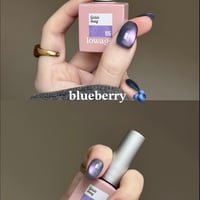 magnet : blueberry
