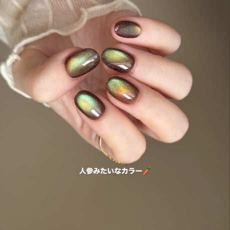 magnet : carrot