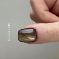 magnet : moss