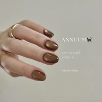 magnet : chestnut