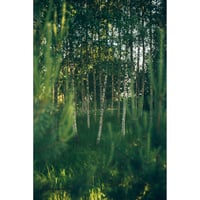 池田晶紀 写真作品　series "DOUBLE NATURE" 「Pirts, Pirtis」#06