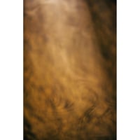 池田晶紀 写真作品　series "DOUBLE NATURE" 「Pirts, Pirtis」#05