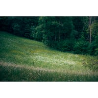 池田晶紀 写真作品　series "DOUBLE NATURE" 「Pirts, Pirtis」#08