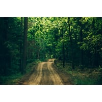 池田晶紀 写真作品　series "DOUBLE NATURE" 「Pirts, Pirtis」#13