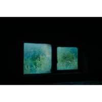 池田晶紀 写真作品　series "DOUBLE NATURE" 「Pirts, Pirtis」#16