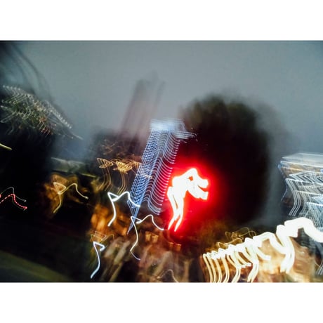 CATEGORY 白鳥建二 | 神田ポート online shop