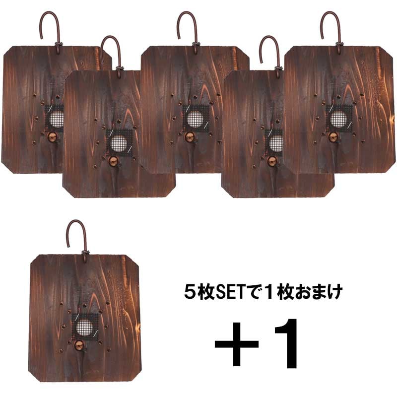 ビカクシダ 着生板 焼杉 ネット有り 20枚 ビカクシダ 着生板 焼杉 20枚