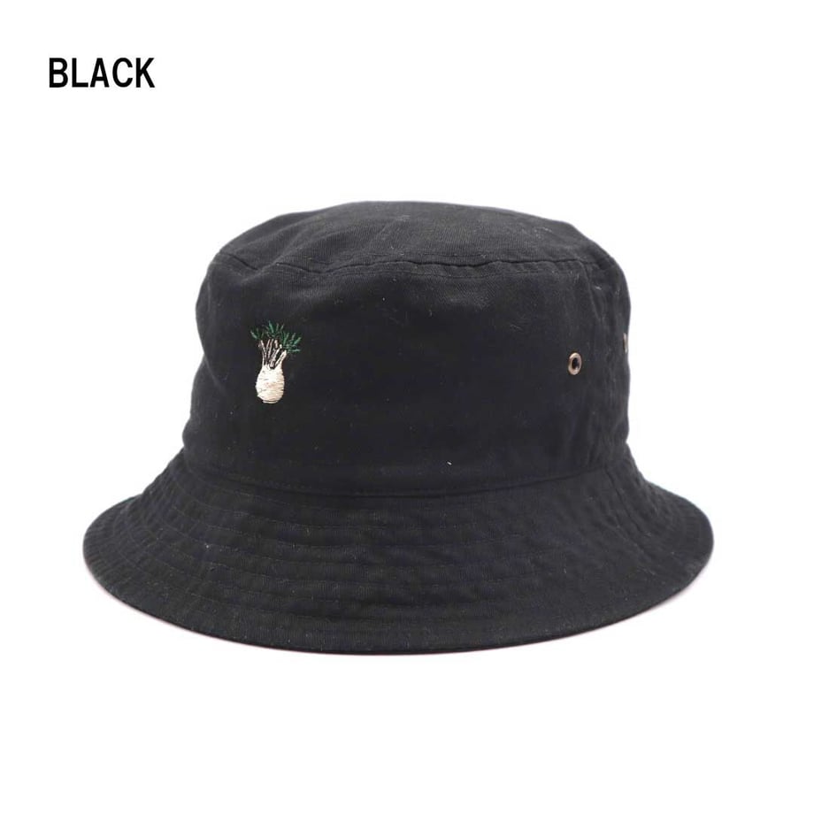 6204e02ec15c5a38f5e21474
