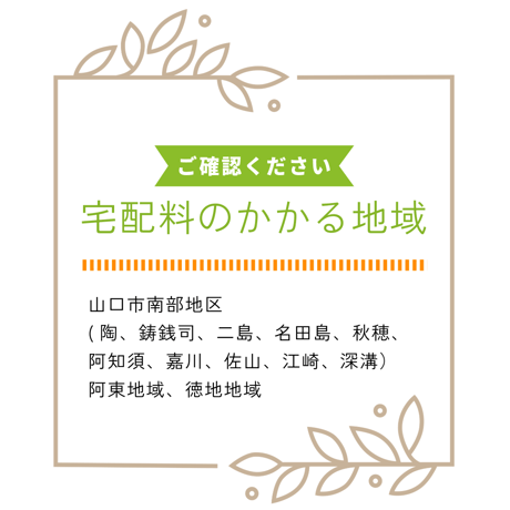 P-40　胡蝶蘭　5本立 [山口市内有料地区]