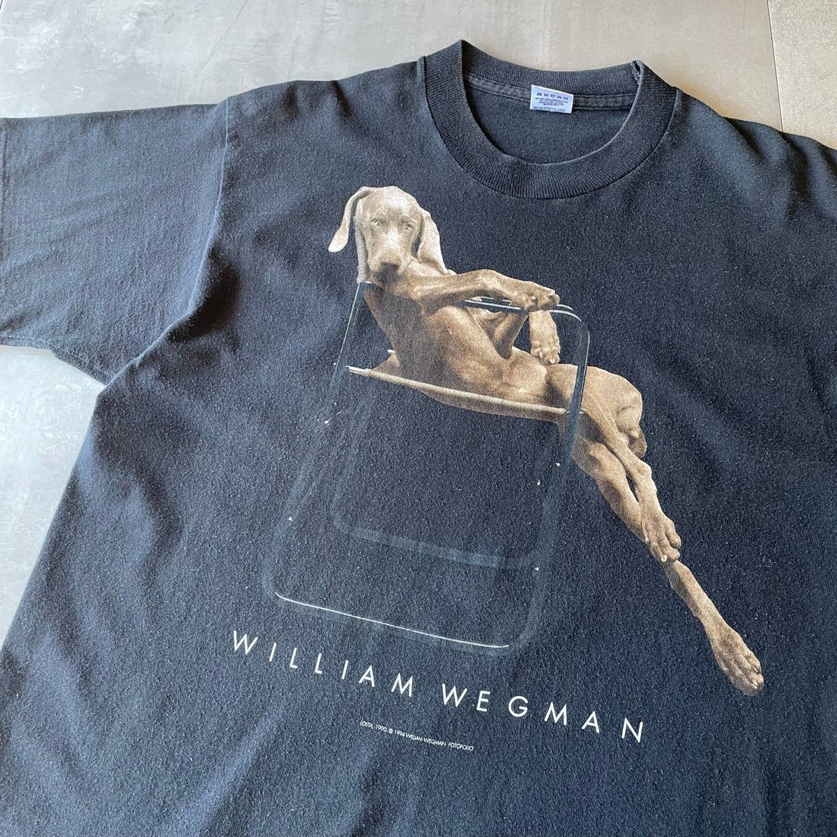 90s WILLIAM WEGMAN Art T-shirt L | clique vinta