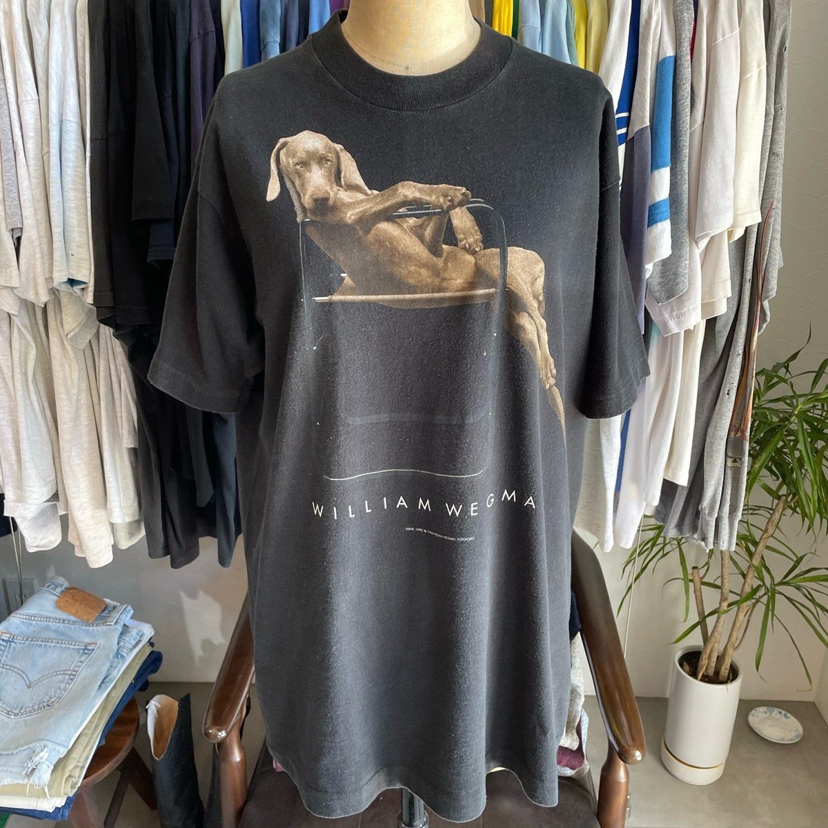 90s USA製ヴィンテージwilliam wegman Tシャツ 古着 90s USA製 WILLIAM WEGMAN 「FRAMED」 アニマル フォト