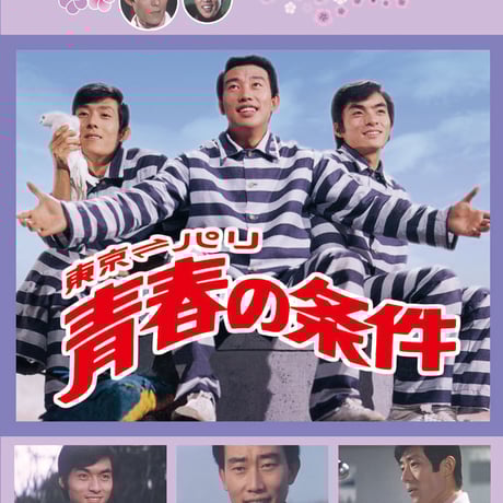 青春歌謡映画傑作選 DVD 14本セット 青春歌謡映画傑作選 DVD 14本セット