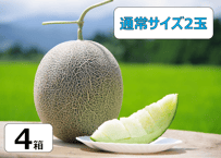肥後グリーン　2玉セット　熊本県植木町直送 肥後グリーンメロン【熊本県産】2玉入 約3.5kg 平均糖度16度 高級青肉