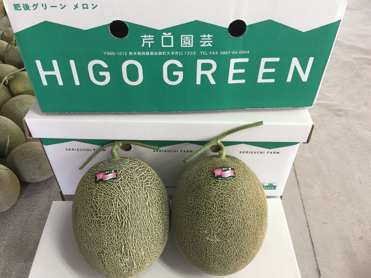 通常サイズ2玉 3箱(計6玉) | 芹口園芸オンラインストア 通常サイズ2玉 3箱(計6玉) | 芹口園芸オンラインストア