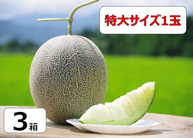 cuilgen　超特大サイズの桃二箱 imgrc0078211655.jpg