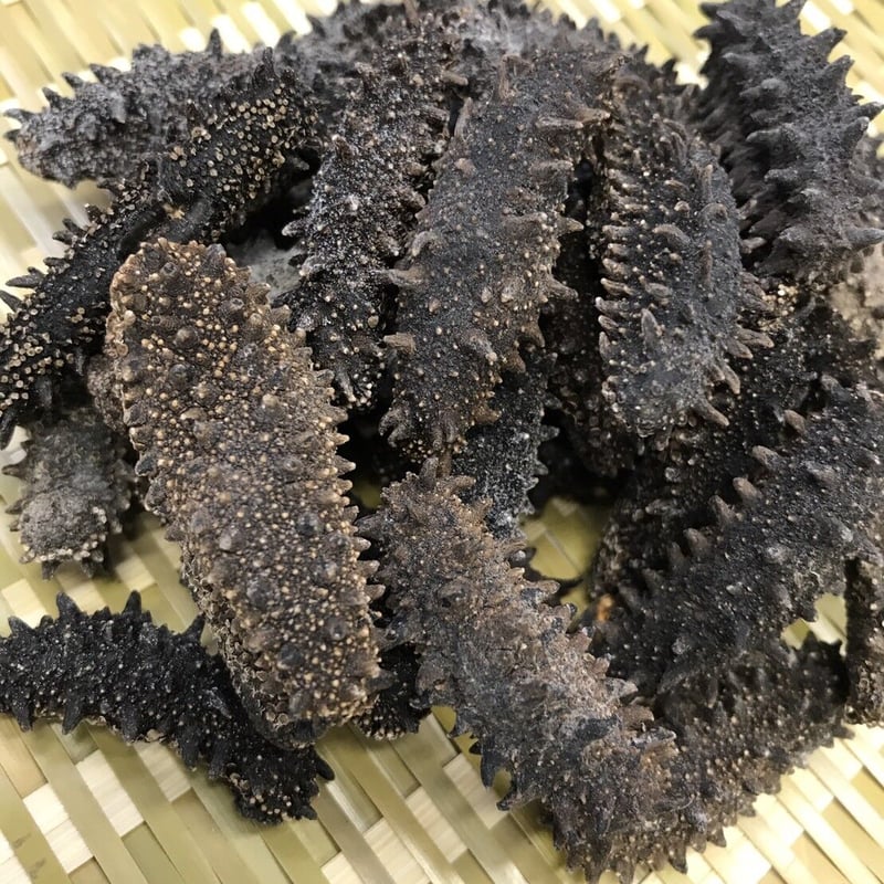 専用　乾燥ナマコ　北海道産 専用 乾燥ナマコ 北海道産 北海道産A級品 なまこ ナマコ 乾燥
